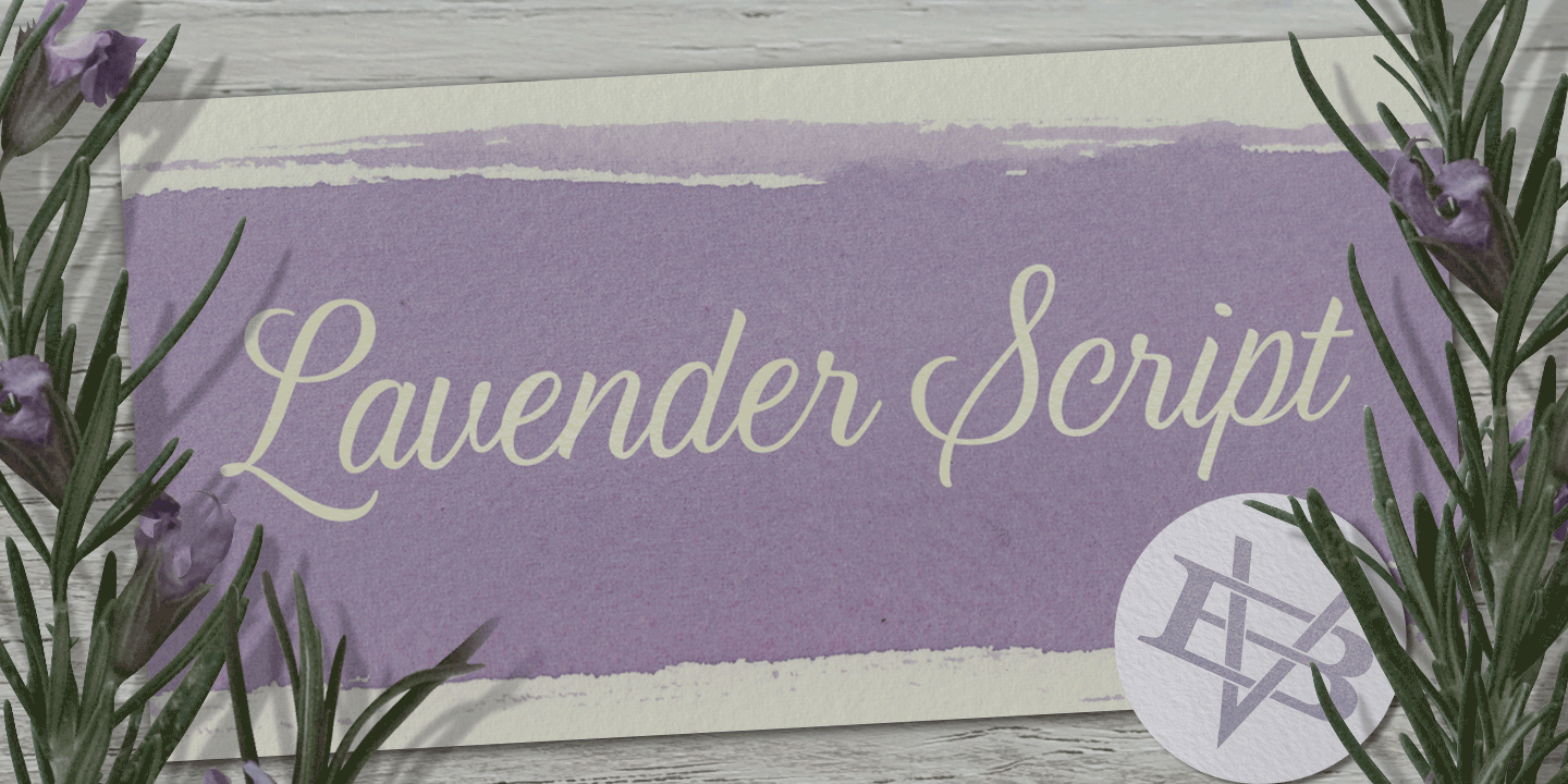 examples of the Lavender Script typeface