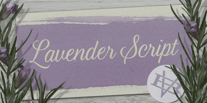 Promotional graphic for the Lavender Script typeface