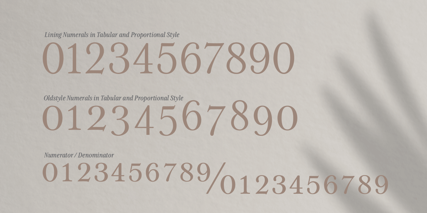 examples of the Patchouli Display typeface